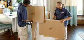 Apartment Movers in Travis