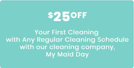 Cleaning special